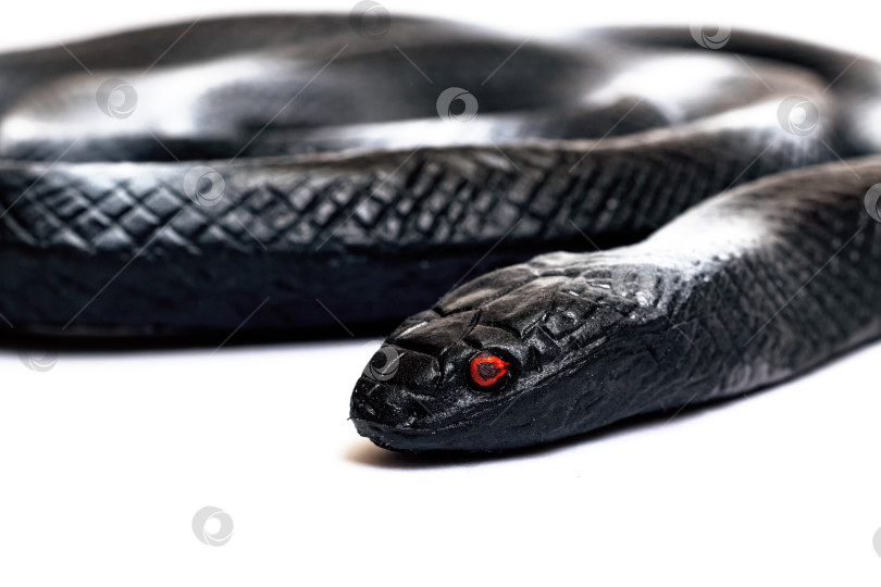 Скачать Черная игрушка-змея, изолированная на белом фоне фотосток Ozero