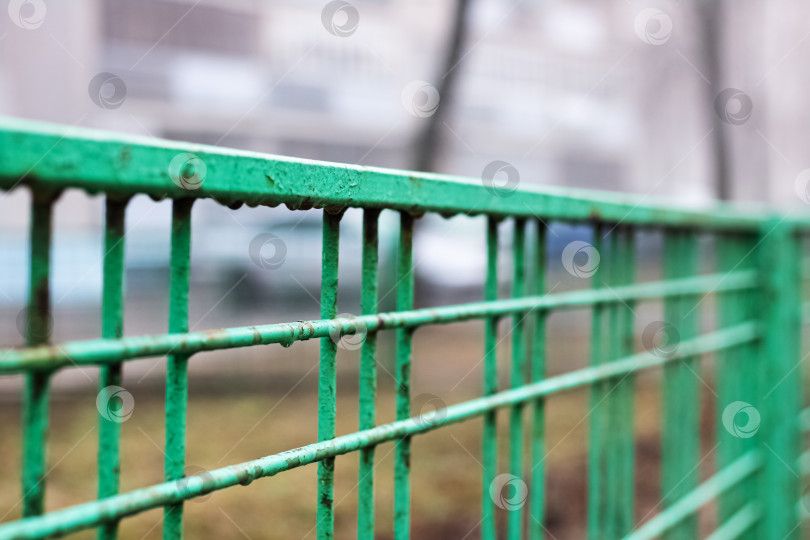 Скачать Зеленый металлический мокрый забор в осеннем парке фотосток Ozero