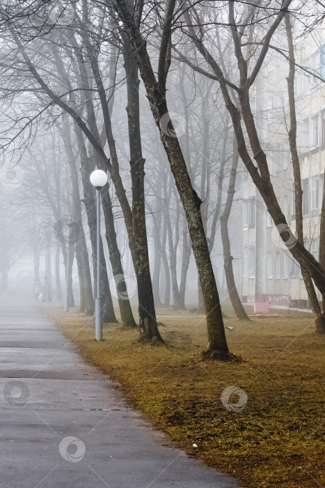 Скачать Утренний туман в осеннем парке фотосток Ozero