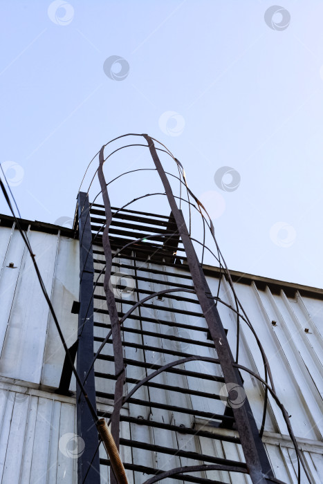 Скачать Пожарная металлическая лестница на стене здания фотосток Ozero