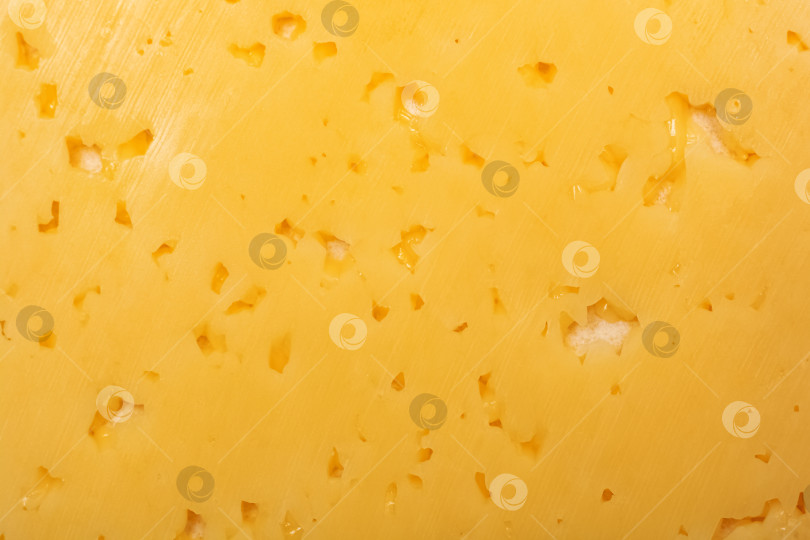 Скачать Текстура желтой сырной дырки или абстрактный фон фотосток Ozero