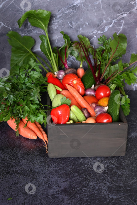Скачать овощные культуры в ящике, еда крупным планом фотосток Ozero