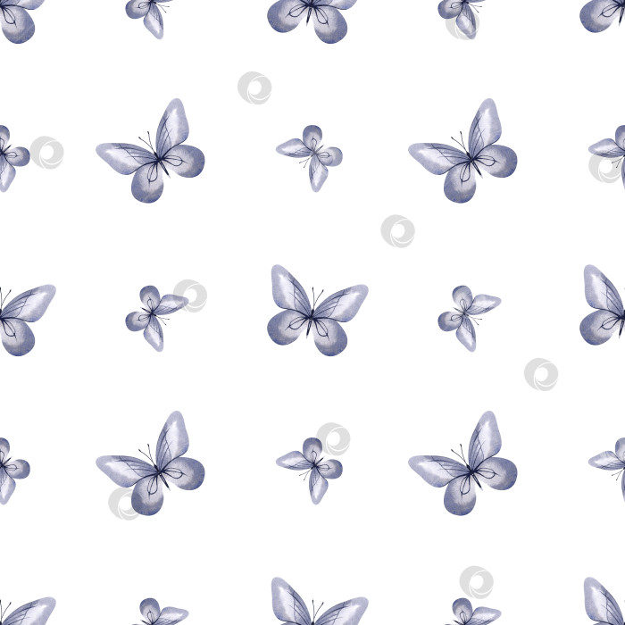 Скачать Пастельные серо-голубые бабочки. Бесшовный узор. Акварельная иллюстрация летающих насекомых. Для оформления фона, обоев, текстиля фотосток Ozero