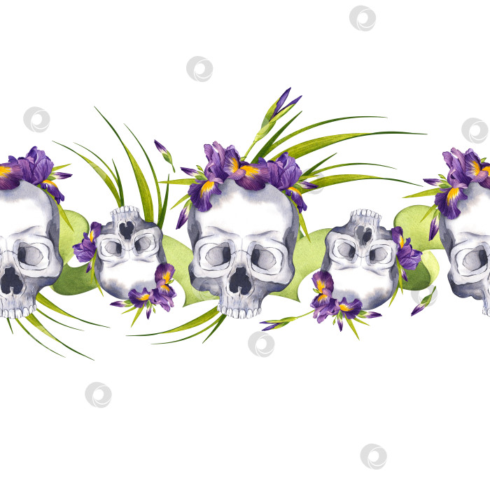 Скачать Бесшовный узор из человеческих черепов с цветами. Фиолетовые ирисы и трава. Акварельная иллюстрация для оформления Хэллоуина. День мертвых. фотосток Ozero