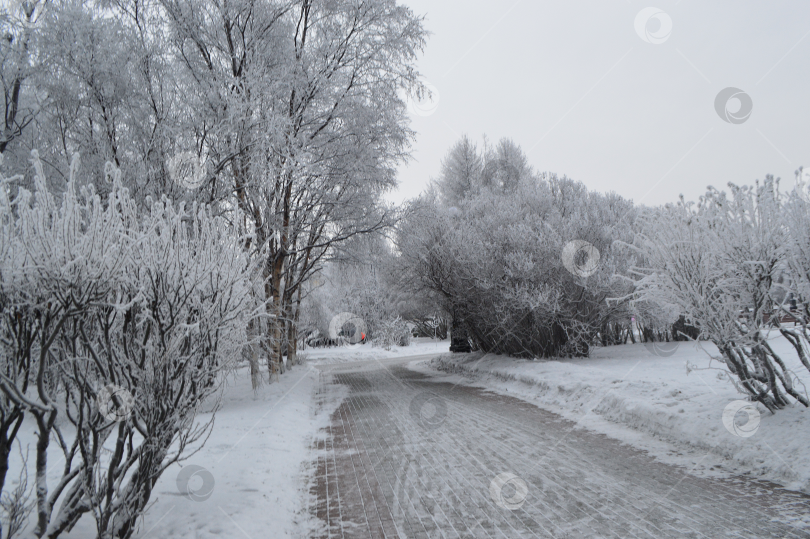 Скачать В мурманске в ноябре 2019 года. фотосток Ozero