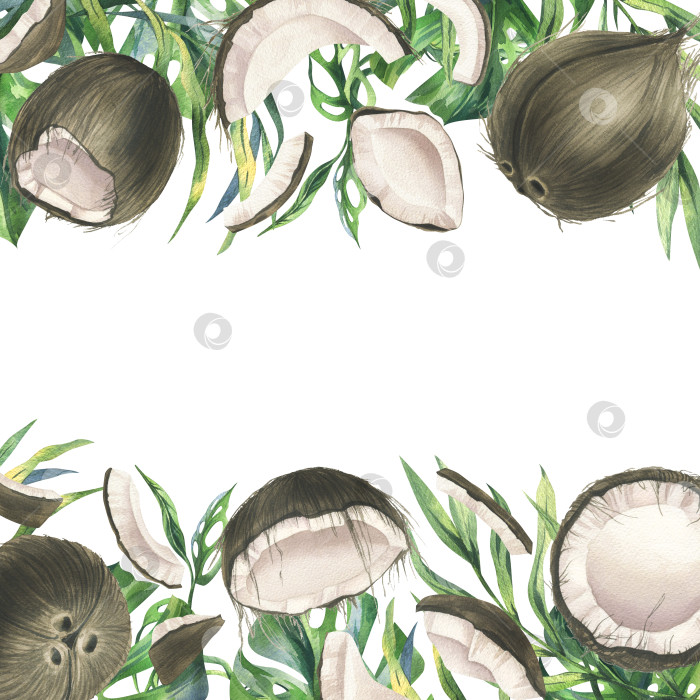Скачать Кокосы целиком, половинки и кусочки с яркими зелеными листьями тропической пальмы. Рисованная акварельная иллюстрация. Рамка шаблона, выделенная на фоне. фотосток Ozero