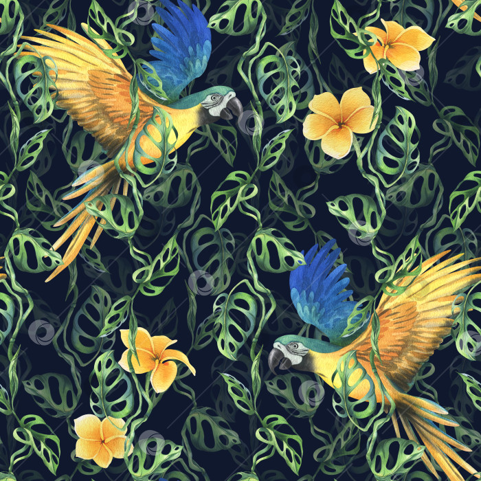 Скачать Листья тропической пальмы, монстеры и цветы плюмерии, гибискуса, яркие сочные с сине-желтым попугаем ара. Ботаническая иллюстрация, нарисованная акварелью от руки. Бесшовный узор на темном фоне фотосток Ozero
