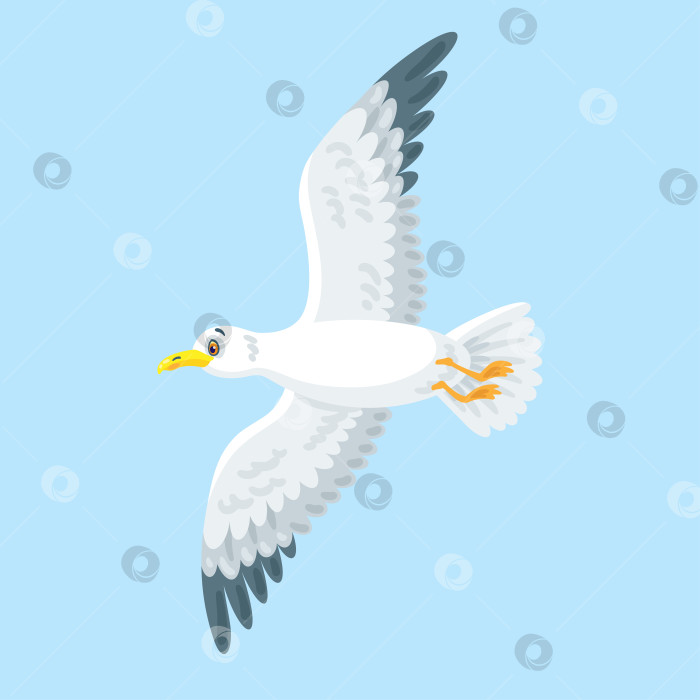 Скачать Летит большая белая чайка. фотосток Ozero