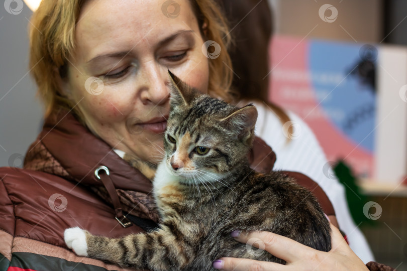 Скачать Беларусь, Минск - 17 декабря 2023 года: Женщина держит котенка фотосток Ozero