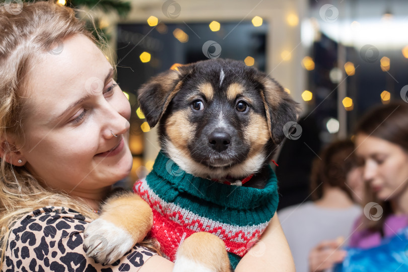 Скачать Беларусь, Минск - 17 декабря 2023 года: Девочка со щенком на руках фотосток Ozero