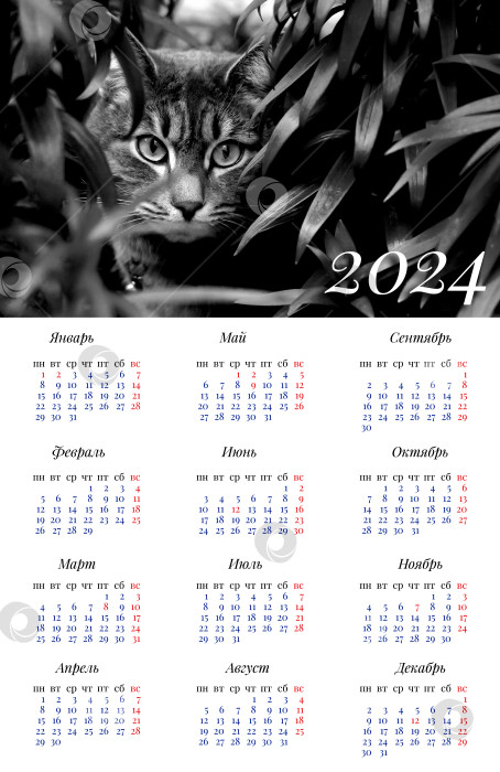 Скачать Календарь на 2024 год с чёрно белой фотографией кошки в высокой траве. Календарь одностраничный большого размера. Уличная кошка.  Животные на природе. Домашние животные. Животные и растения. фотосток Ozero