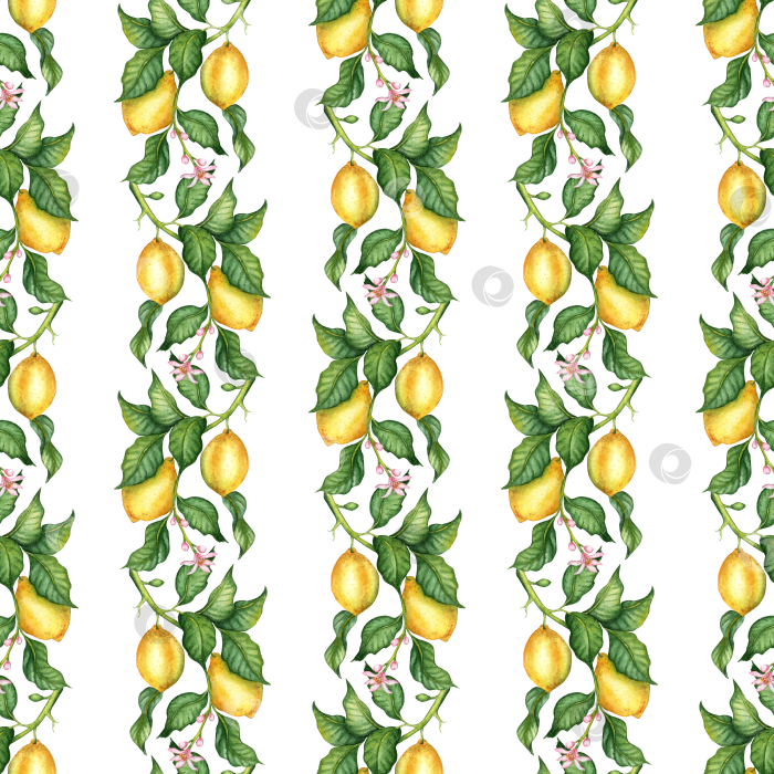 Скачать Рисунок вертикальными полосками из спелых лимонов акварелью фотосток Ozero