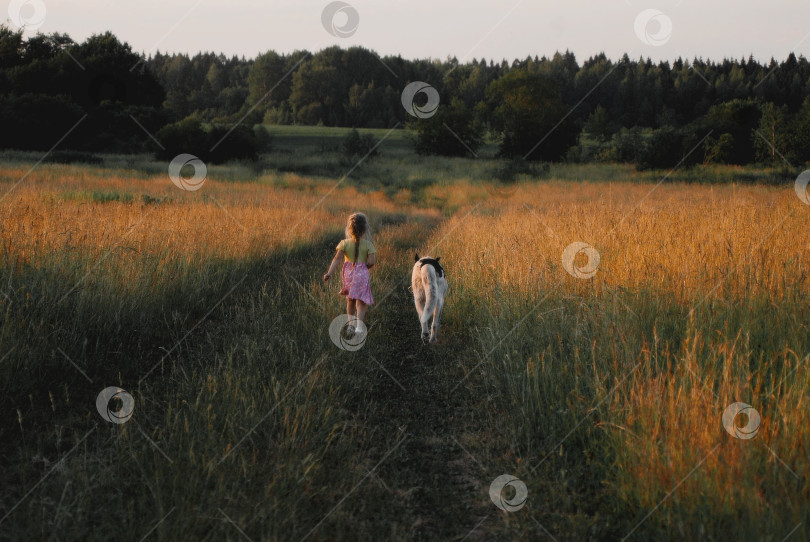 Скачать Бег в поляне фотосток Ozero