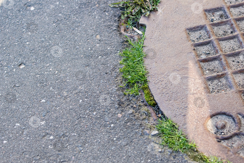 Скачать Канализационный люк на тротуаре и зеленая трава фотосток Ozero