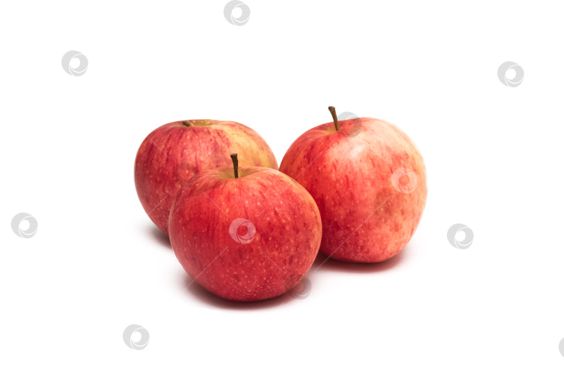 Скачать Три красных яблока, выделенные на белом фоне фотосток Ozero