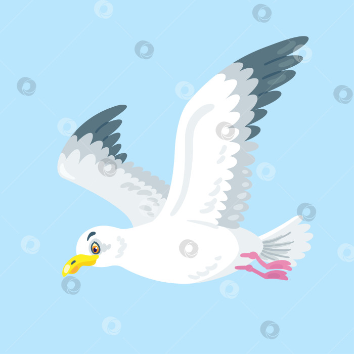 Скачать Белая чайка летит в небе. фотосток Ozero
