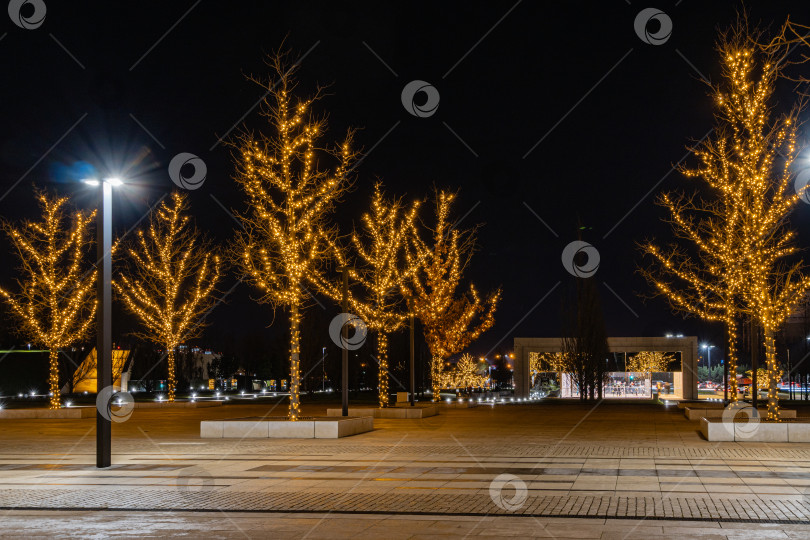 Скачать Ночной вид на парк Краснодар, Галицкий парк с футбольным стадионом и инфраструктурой для отдыха. Праздничная иллюминация на елках к Новому году и Рождеству. фотосток Ozero