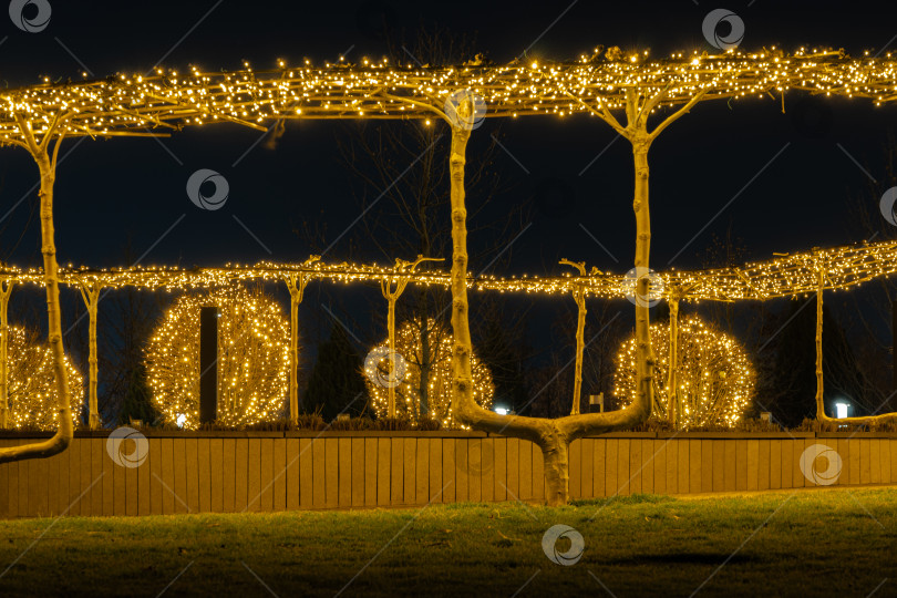Скачать Ночной вид на парк Краснодар, Галицкий парк с футбольным стадионом и инфраструктурой для отдыха. Праздничная иллюминация на елках к Новому году и Рождеству. фотосток Ozero