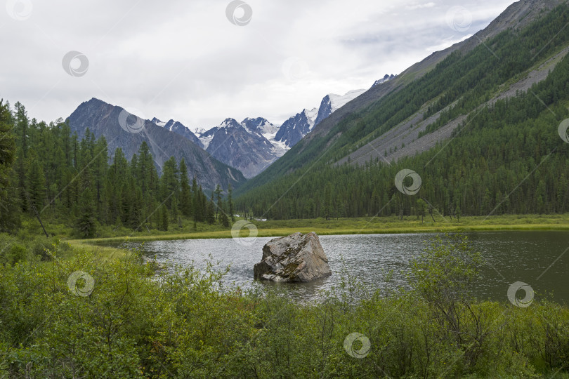 Скачать Река Шавла. Горный Алтай, Россия. фотосток Ozero