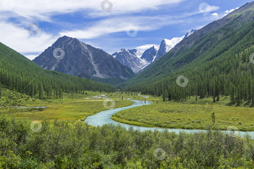 Скачать Долина реки Шавла. Горный Алтай, Россия. фотосток Ozero