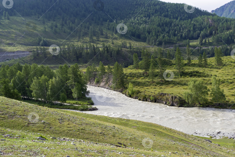 Скачать Река Чуя. Горный Алтай. Россия. фотосток Ozero