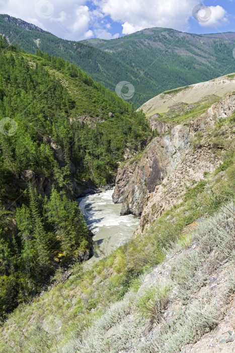 Скачать Река Чуя в узком каньоне. Алтай, Сибирь, Россия. фотосток Ozero