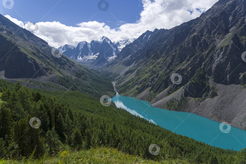 Скачать Озеро Шавло. Горный Алтай, Россия. фотосток Ozero