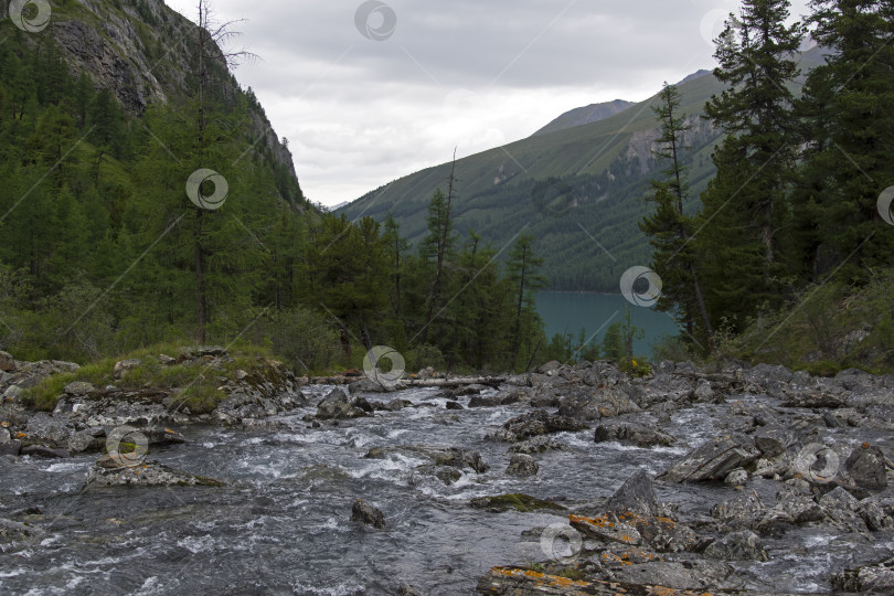 Скачать Река Шавла перед Шавлинским озером. Горный Алтай, Россия. фотосток Ozero