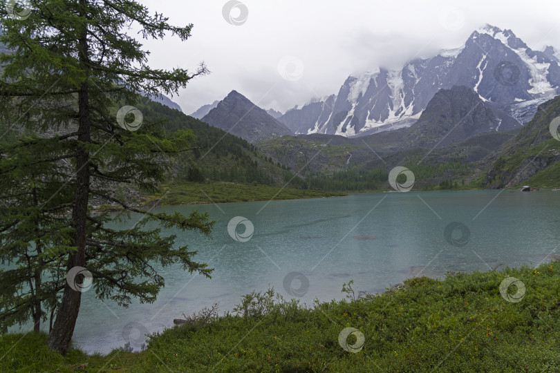 Скачать Верхнее Шавлинское озеро. Горный Алтай, Россия. фотосток Ozero