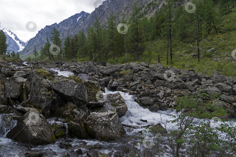 Скачать Река Шавла. Горный Алтай, Россия. фотосток Ozero