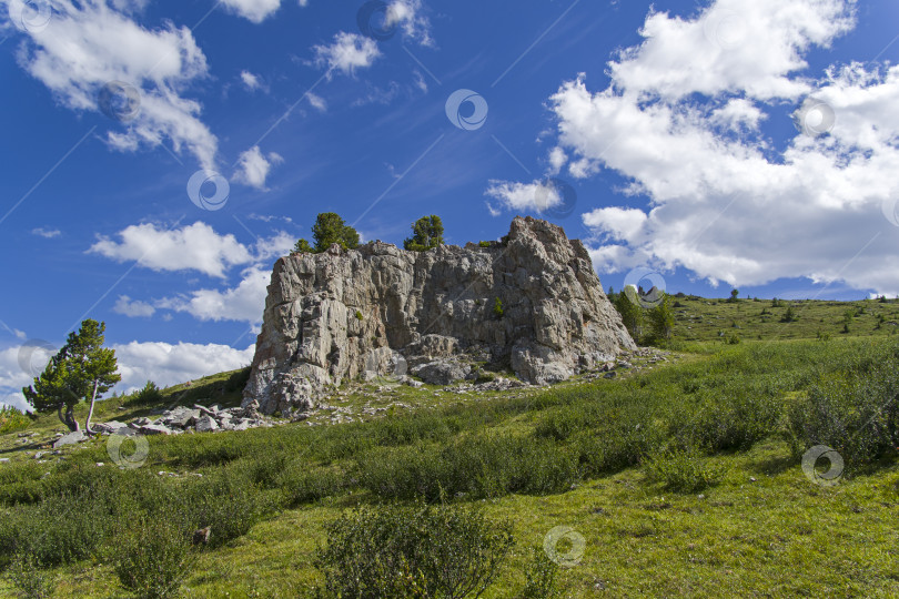 Скачать Скала на горном перевале. Алтай, Сибирь, Россия. фотосток Ozero