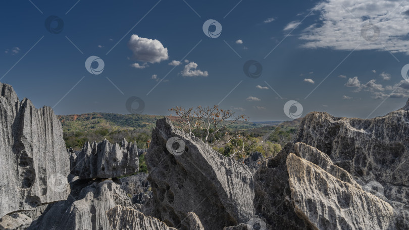 Скачать Живописные карстовые известняковые скалы Цинги-де-Бемараха. фотосток Ozero
