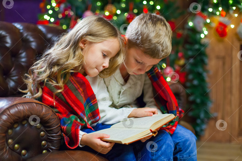 Скачать Дети читают интересную книгу, сидя на кровати на фоне украшенной рождественской елки фотосток Ozero