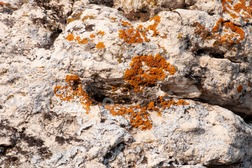 Скачать горные белые скалы с оранжевым мхом фотосток Ozero