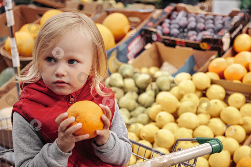 Скачать Маленькая девочка сидит в корзине для покупок в продуктовом магазине или супермаркете фотосток Ozero