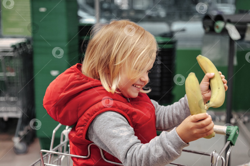 Скачать Маленькая девочка сидит в корзине для покупок в продуктовом магазине или супермаркете фотосток Ozero