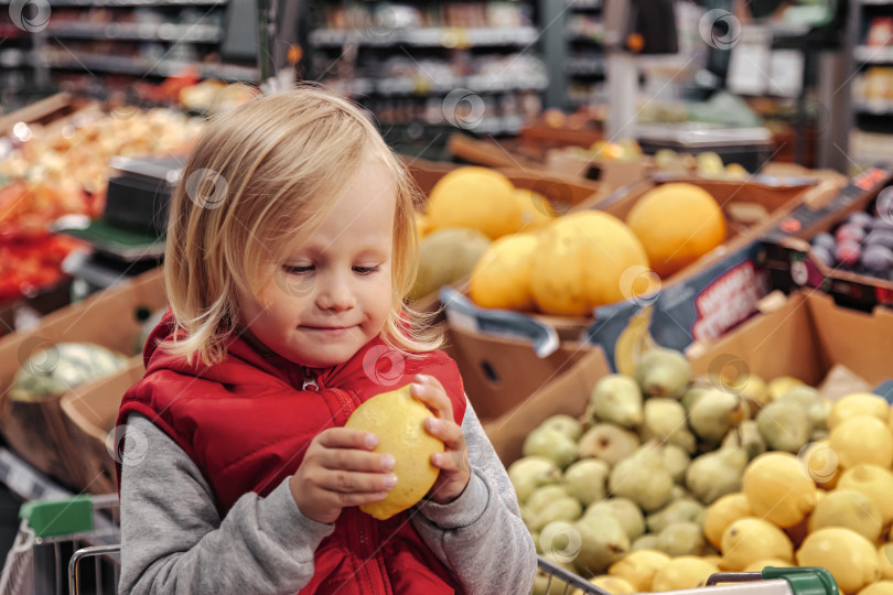 Скачать Маленькая девочка сидит в корзине для покупок в продуктовом магазине или супермаркете фотосток Ozero