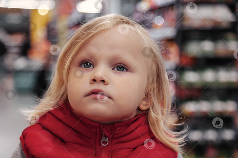 Скачать Маленькая девочка сидит в корзине для покупок в магазине или супермаркете и покупает фотосток Ozero