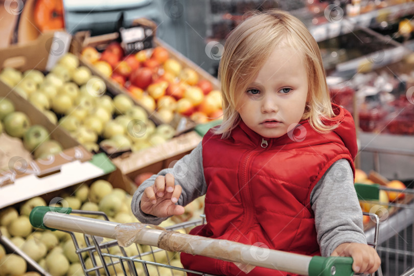 Скачать Маленькая девочка сидит в корзине для покупок в продуктовом магазине или супермаркете фотосток Ozero