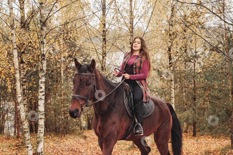 Скачать Симпатичная молодая женщина верхом на лошади в осеннем лесу фотосток Ozero