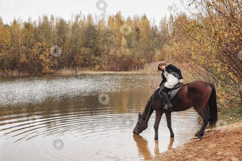 Скачать Симпатичная молодая женщина верхом на лошади в осеннем лесу у озера фотосток Ozero