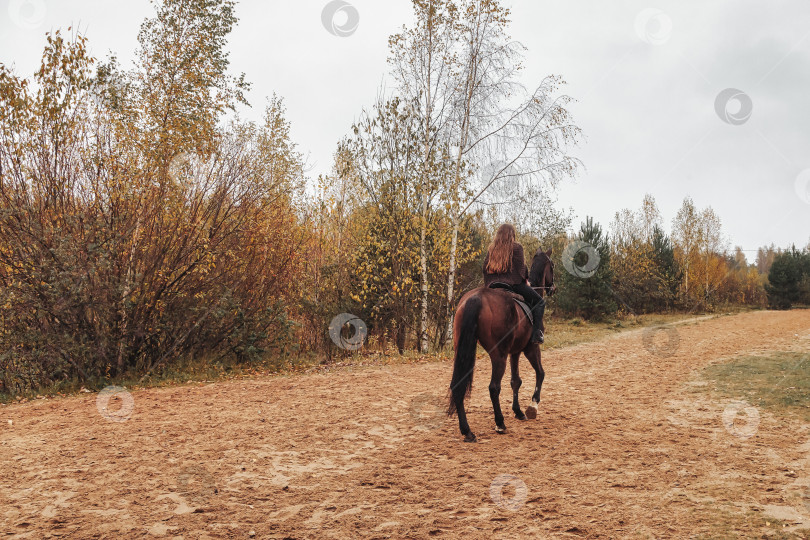 Скачать Симпатичная молодая женщина верхом на лошади в осеннем лесу фотосток Ozero