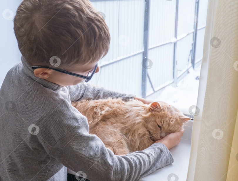 Скачать Ребенок, мальчик играет со своим любимым пушистым рыжим котом у окна. Ребенок гладит кошку. Привязанность между детьми и домашними животными. Забавная жизнь кошек дома фотосток Ozero