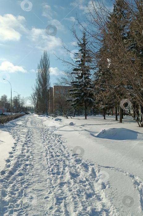 Скачать После сильной метели занесло пешеходам дорожки в городе фотосток Ozero