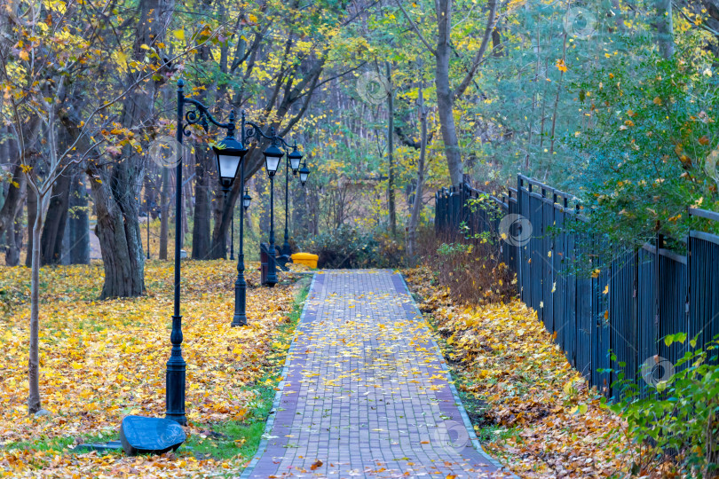 Скачать Осенняя парковая дорога фотосток Ozero