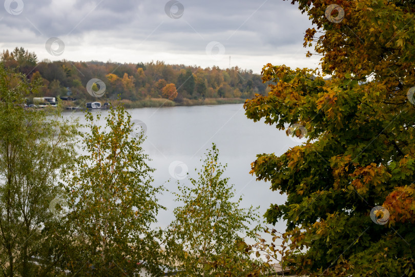 Скачать Клен на берегу озера фотосток Ozero