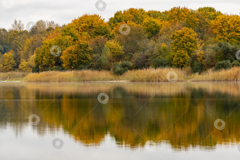 Скачать Побережье озера осенью фотосток Ozero