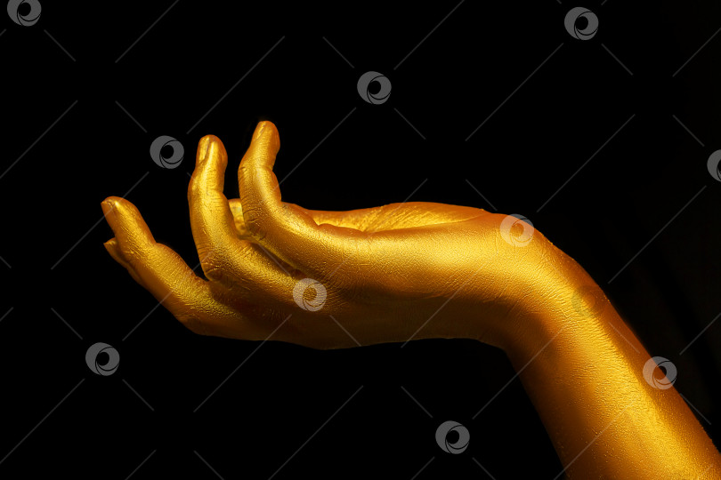 Скачать Золотая женская рука на черном фоне. Красивые пальцы, покрытые золотом. фотосток Ozero