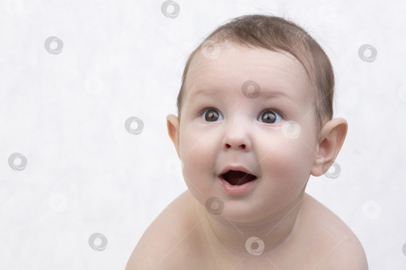 Скачать Удивленное детское личико. Портрет новорожденного ребенка со смешным шокированным выражением лица фотосток Ozero