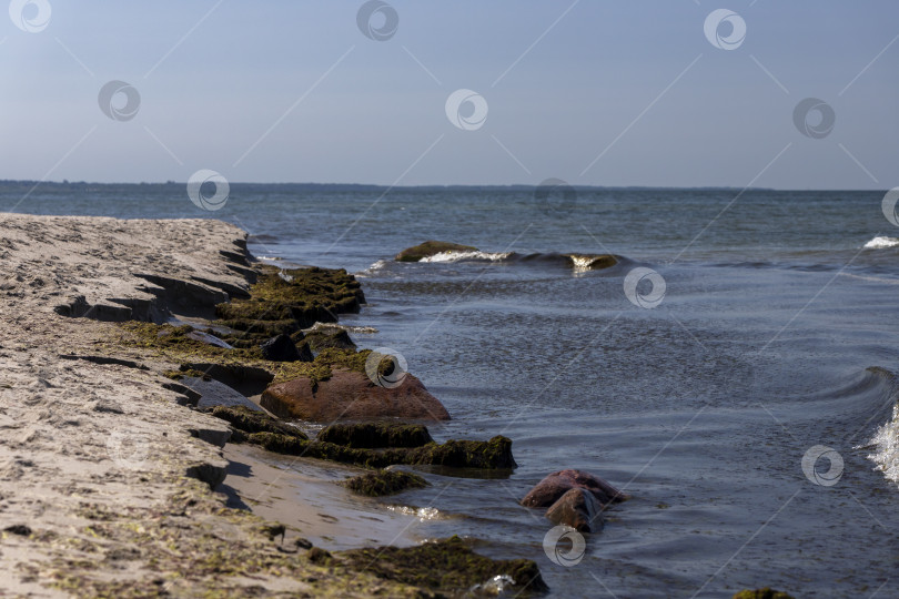 Скачать Вид на Балтийское море фотосток Ozero